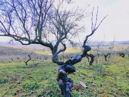 7a2a306b-3dfd-4777-9763-c4949236bae9