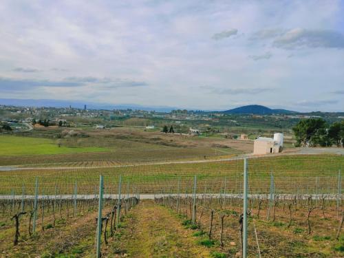 8e8c43ed-eea6-4e4b-adf2-d64c89d24ef4