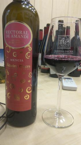 Rectoral de Amandi Mencía 2017