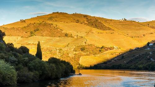 douro-2989559 960 720
