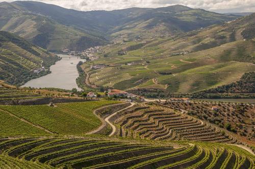 douro-4768654 960 720