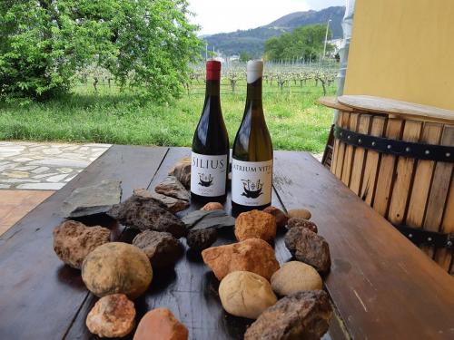 piedras territorio AV