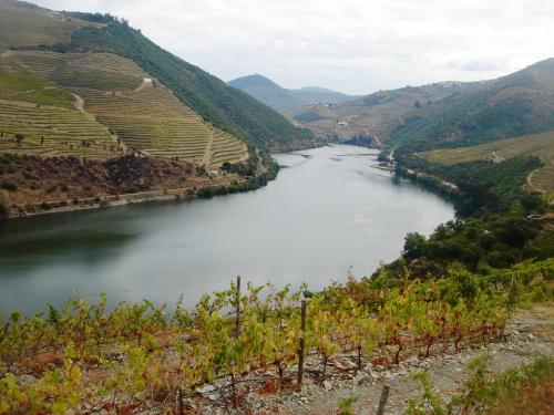 river-douro-838765 960 720